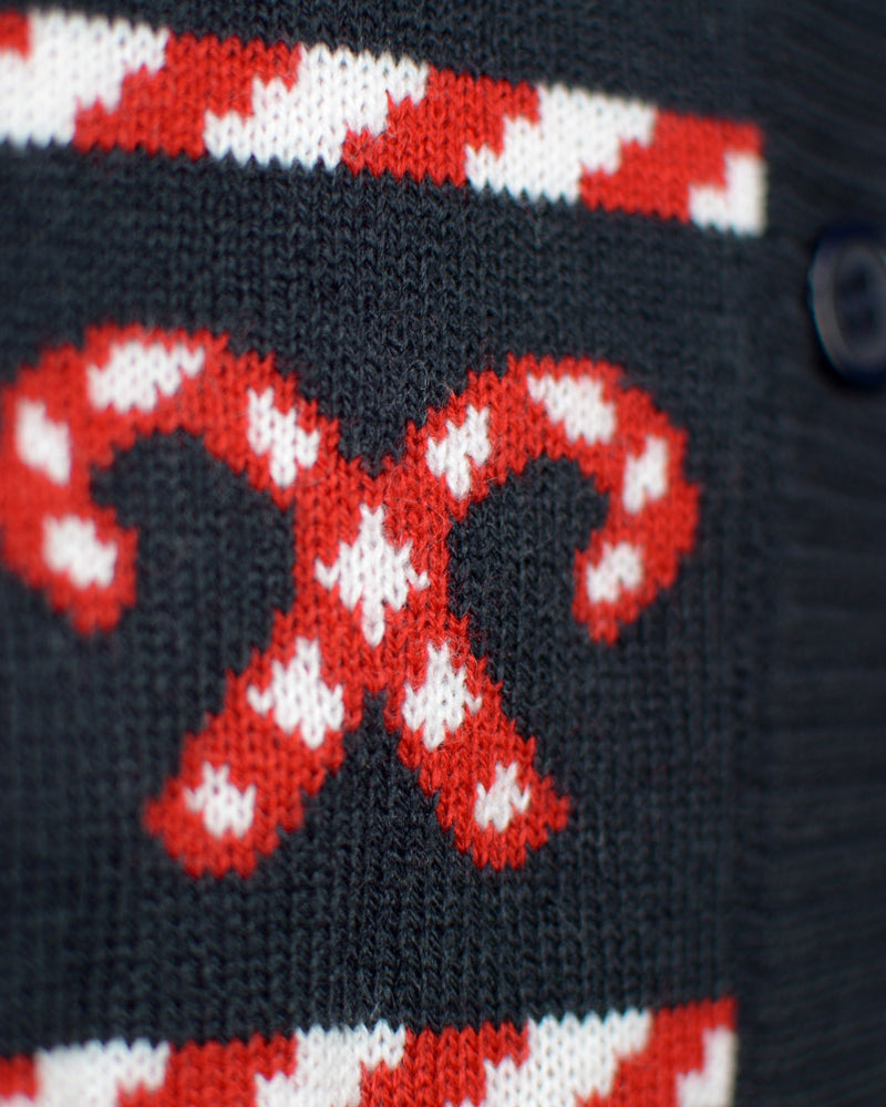 Blue Couples Cardigan Christmas with Polar Stars Jumper