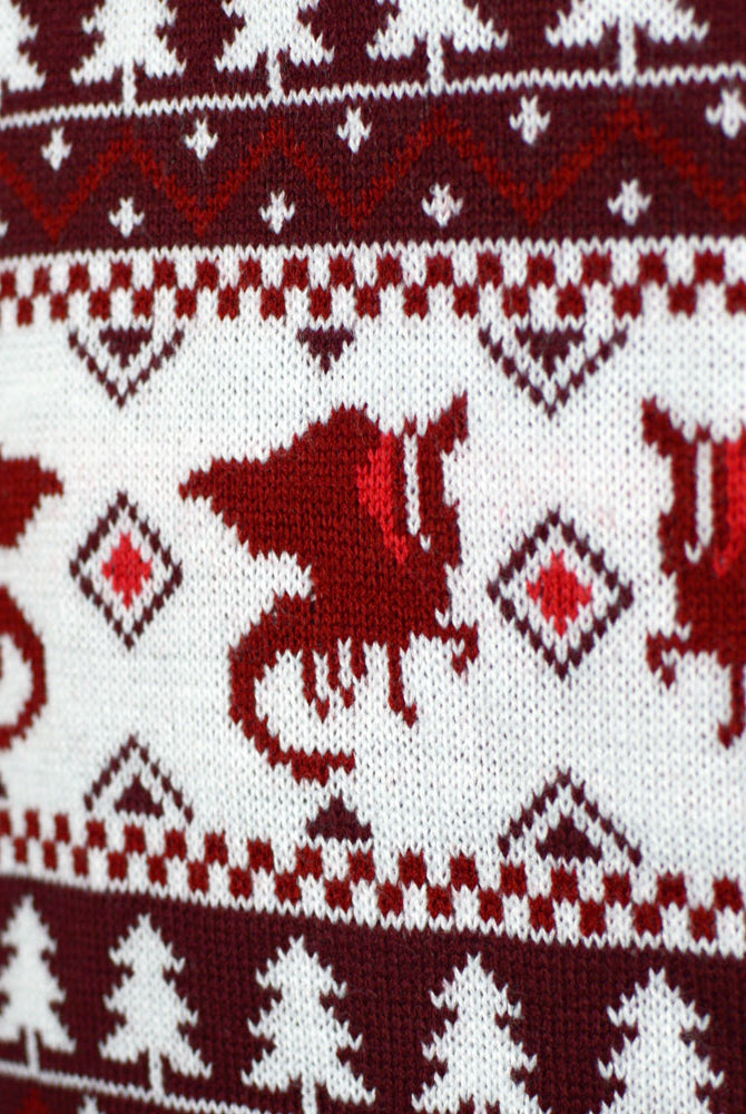 Christmas is Coming Mens Christmas Jumper Dragon