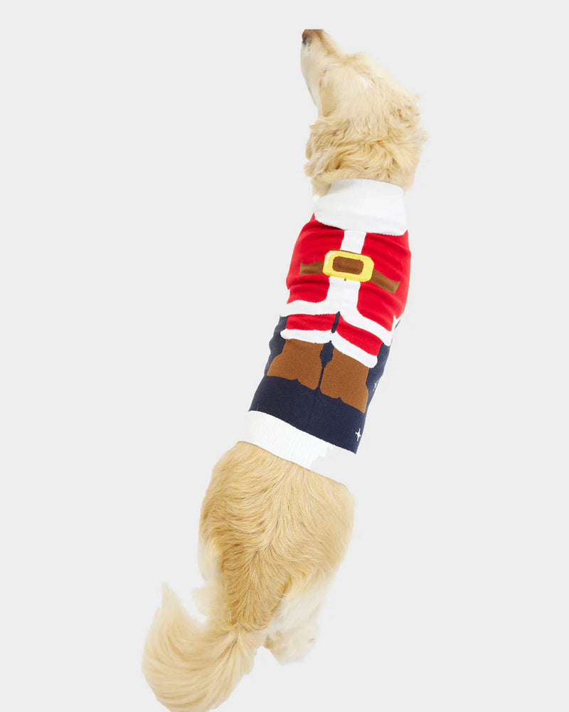 Christmas Jumper Santa Suit Dog