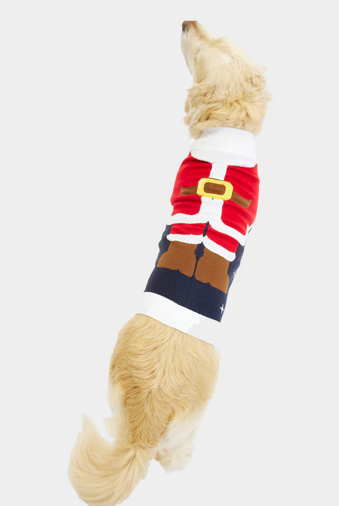 Christmas Jumper Santa Suit Dog