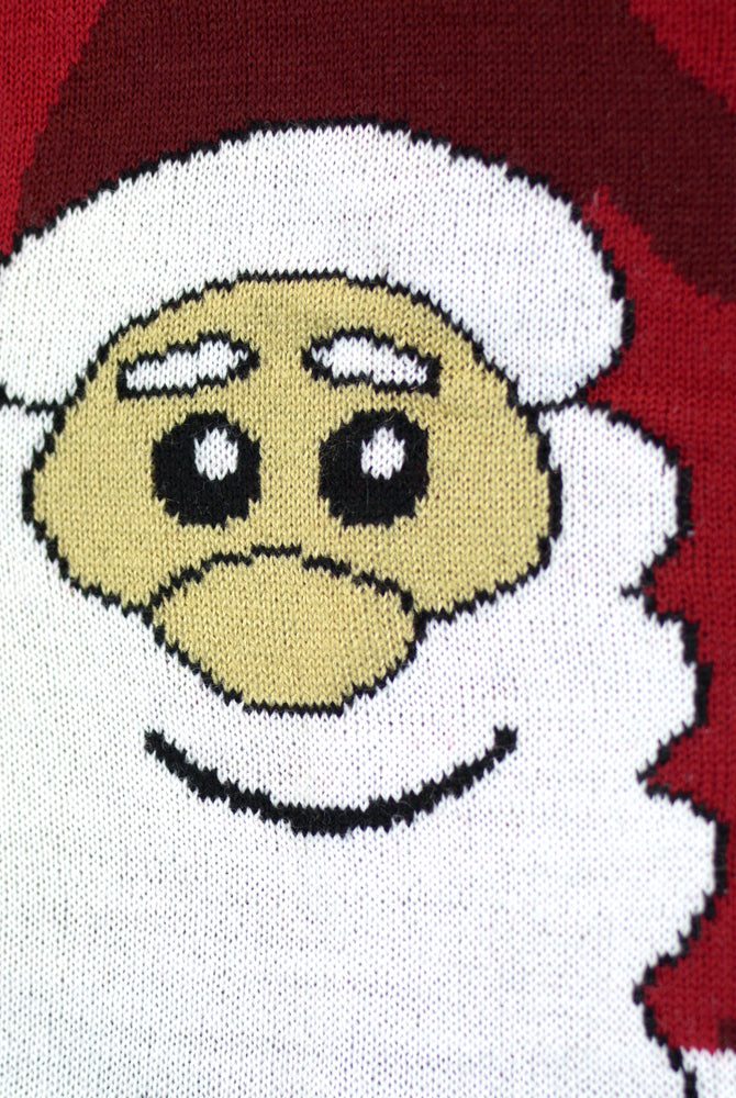 Couples Christmas Jumper with Santa and Rudolph Smiling