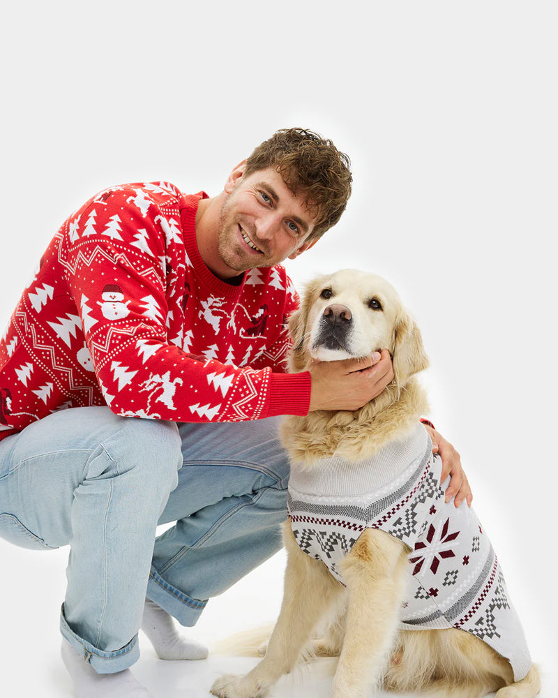 Grey Dog Christmas Jumper with Polar Stars Men
