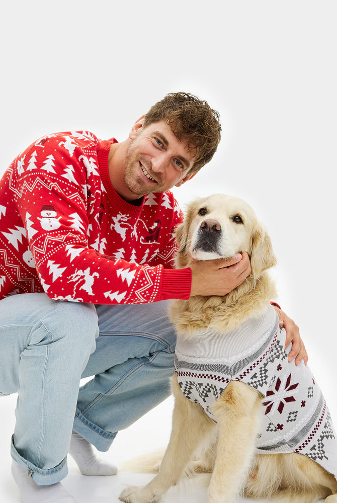 Grey Dog Christmas Jumper with Polar Stars Men