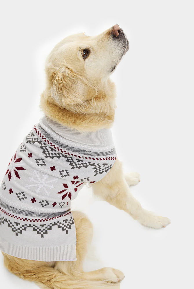 Grey Dog Christmas Jumper with Polar Stars