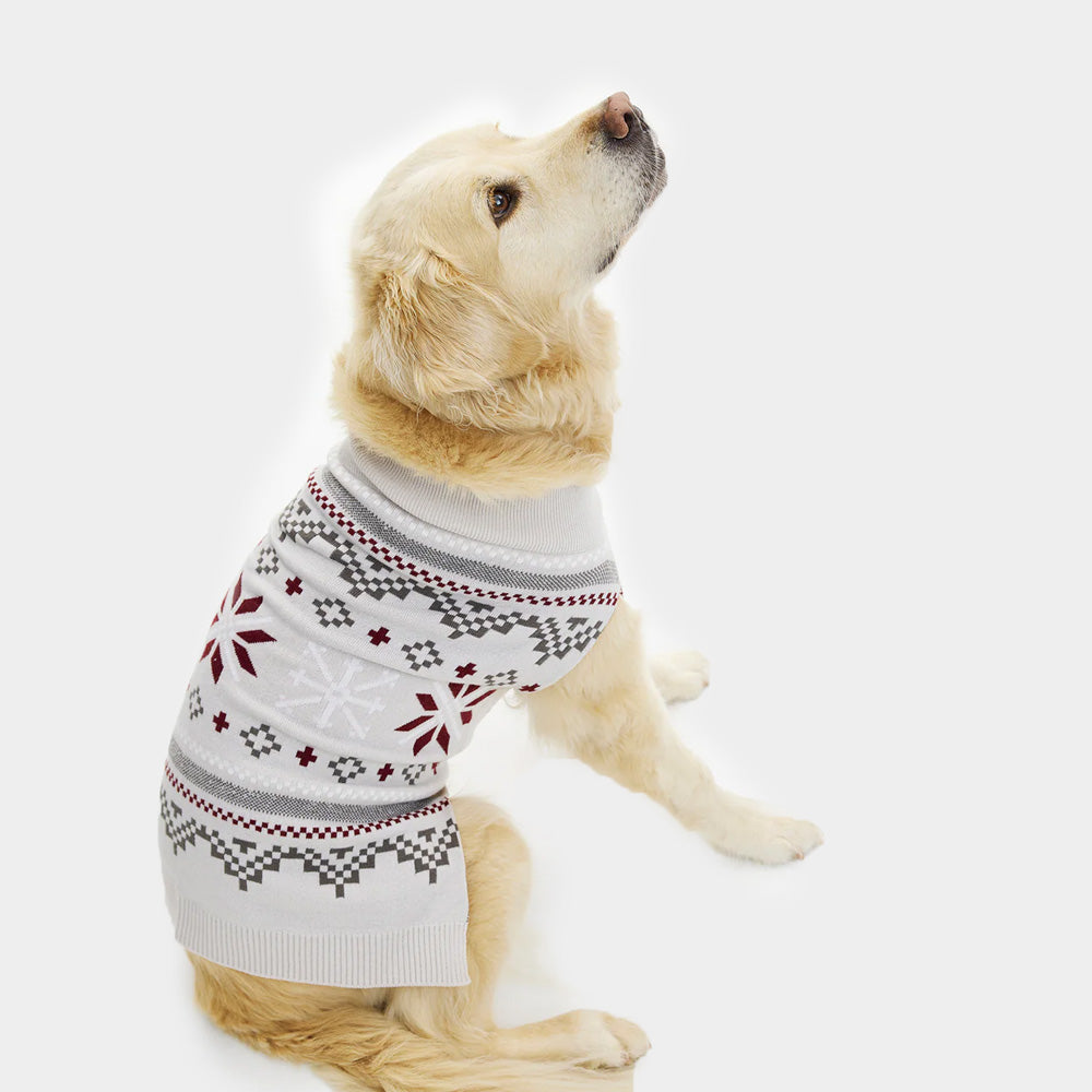 Grey Dog Christmas Jumper with Polar Stars