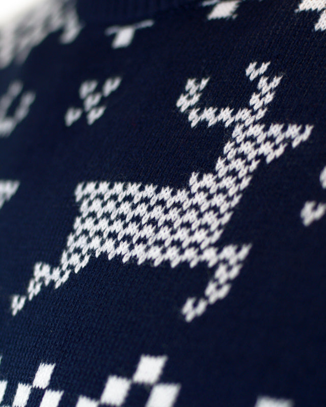 North Pole Blue Family Christmas Jumper reindeer