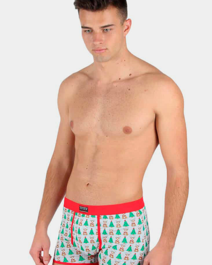 Christmas Boxer with Reindeers and Christmas Trees Mens