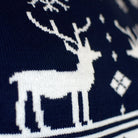 Blue Family Christmas Jumper with Reindeers and Nordic Stars Detail