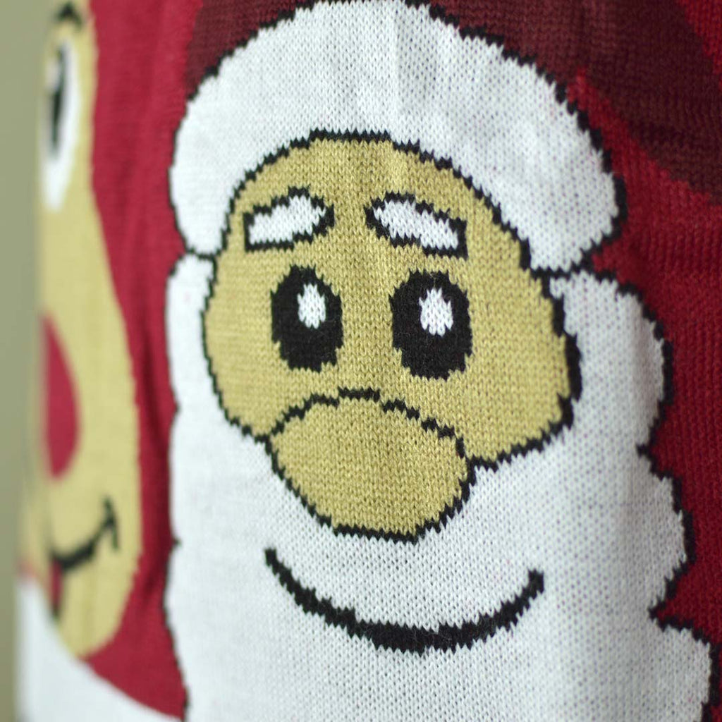 Family Christmas Jumper with Santa and Rudolph Smiling Detail