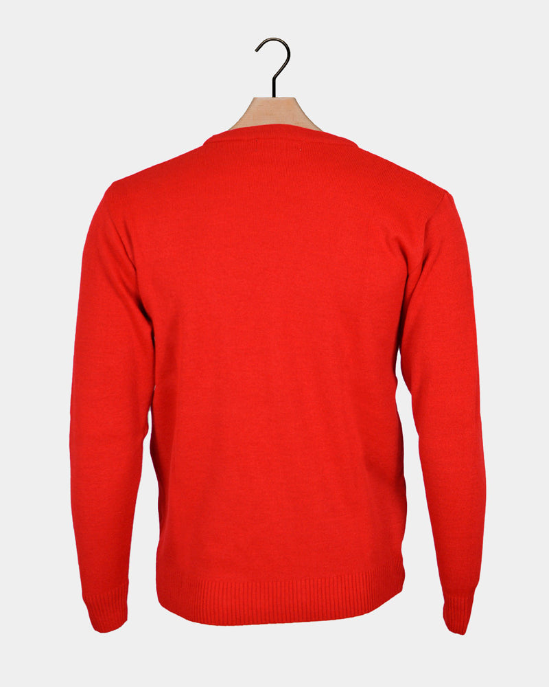 Red Family Christmas Jumper Reindeer with a Beer Back