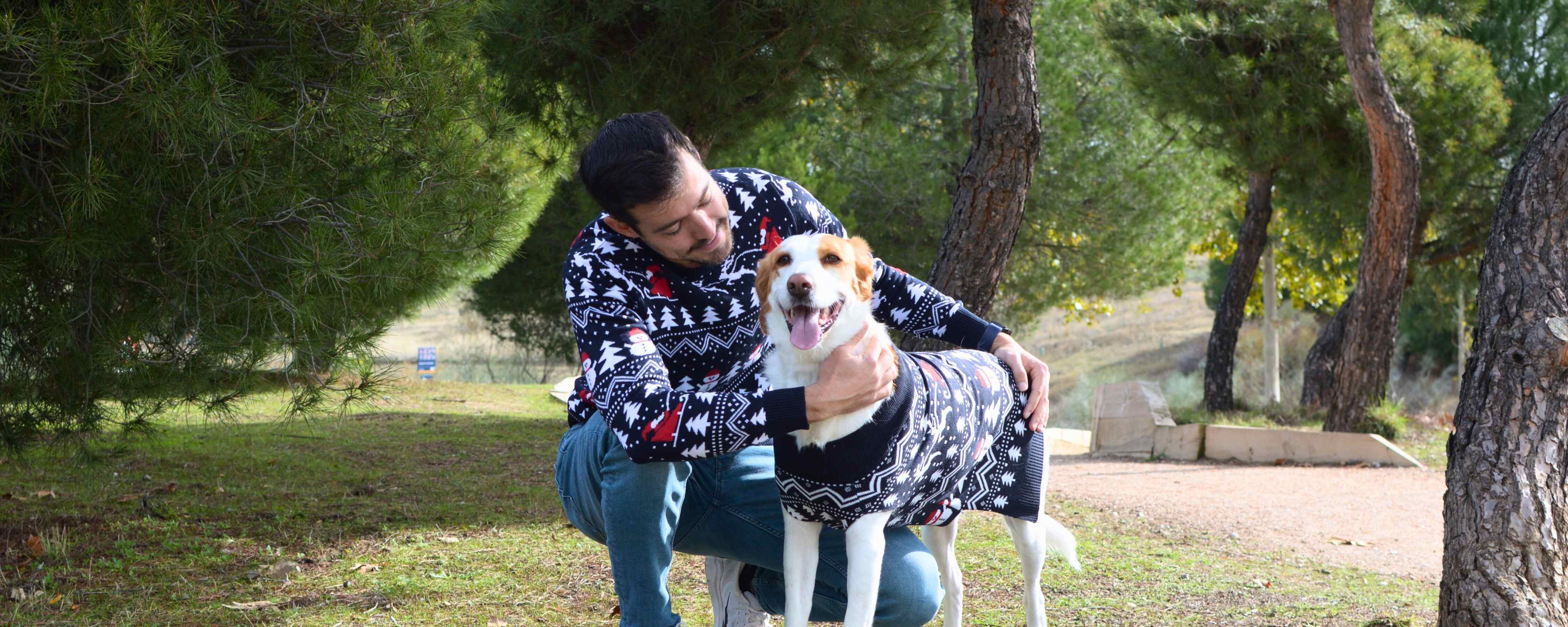 Dog Christmas Jumper