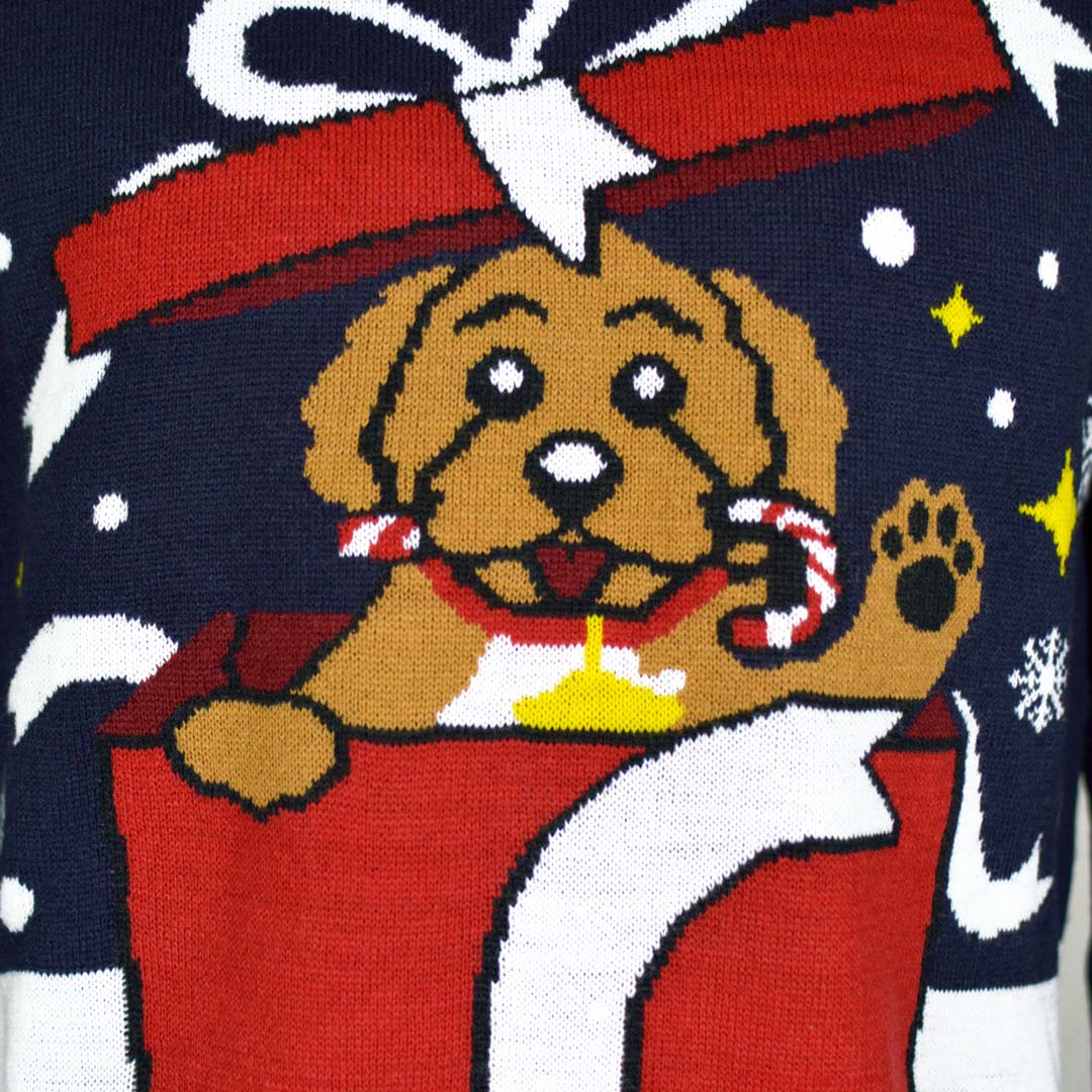 Couple's Christmas Jumper Feliz Navidog detail