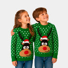 Green 3D Family Christmas Jumper Reindeer with Santa's hat Children
