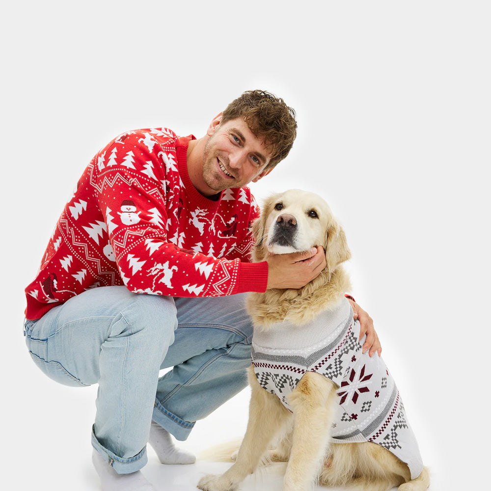 Grey Dog Christmas Jumper with Polar Stars Men