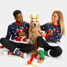 Christmas Jumper Feliz Navidog Couple